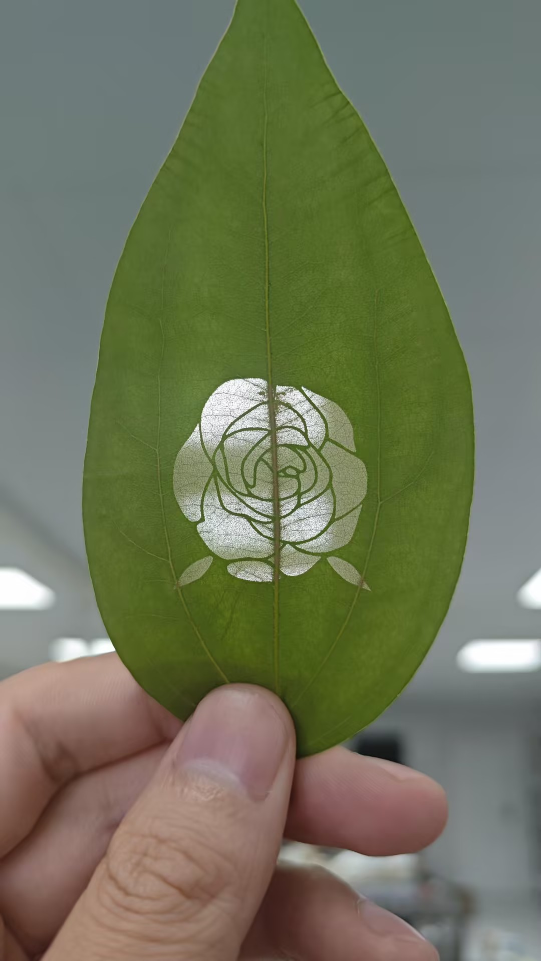 Hollow-out leaf